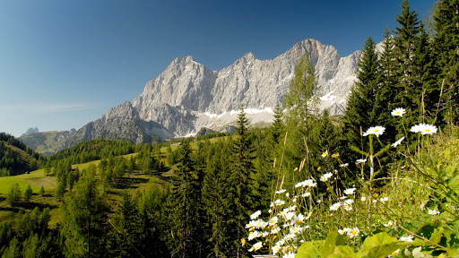 Berge